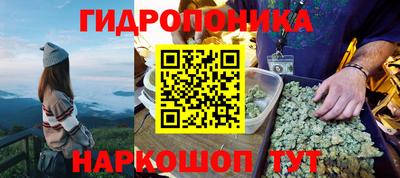 тгк Обь